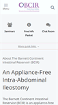 Mobile Screenshot of bcir.com